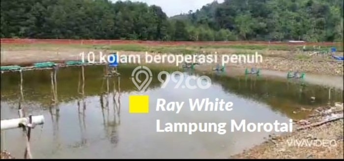 Tanah Area Strategis Kawasan Padang Cermin, Luas 100000m2m², Ideal untuk Bisnis Tanah Area Strategis Kawasan Padang Cermin, Luas 100000m2m², Ideal untuk Bisnis