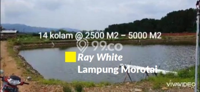 Tanah Area Strategis Kawasan Padang Cermin, Luas 100000m2m², Ideal untuk Bisnis Tanah Area Strategis Kawasan Padang Cermin, Luas 100000m2m², Ideal untuk Bisnis
