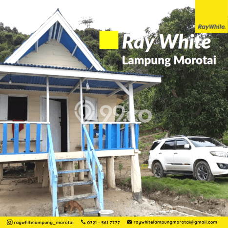 Tanah Area Berkembang Kawasan Punduh Pidada, Luas 14000m2m², Dekat ke Pusat Kota, Akses Punduh Pidada, Pesawaran, Pesawaran Tanah Area Berkembang Kawasan Punduh Pidada, Luas 14000m2m², Dekat ke Pusat Kota, Akses Punduh Pidada, Pesawaran, Pesawaran