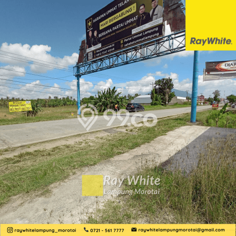 Tanah Potensial di Kalianda, Luas 16700m2m², Akses Mudah Tanah Potensial di Kalianda, Luas 16700m2m², Akses Mudah