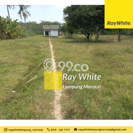 Tanah Kawasan Natar, Luas 5138m2m², Akses Jalan Utama Tanah Kawasan Natar, Luas 5138m2m², Akses Jalan Utama