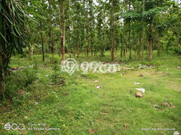 Lahan Kosong Dijual di Jember dengan Area 11980m2 Lahan Kosong Dijual di Jember dengan Area 11980m2