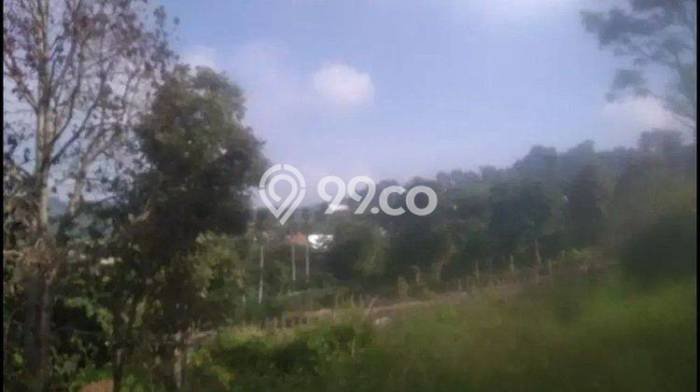 Tanah Kavling Dijual di Lembang, Bandung dengan Luas Tanah 4900m2 Tanah Kavling Dijual di Lembang, Bandung dengan Luas Tanah 4900m2