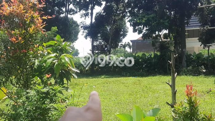 Tanah Lokasi Prima Kawasan Pakis, Luas 2949m2m², Lingkungan Asri, Akses Pakis, Malang, Malang Tanah Lokasi Prima Kawasan Pakis, Luas 2949m2m², Lingkungan Asri, Akses Pakis, Malang, Malang