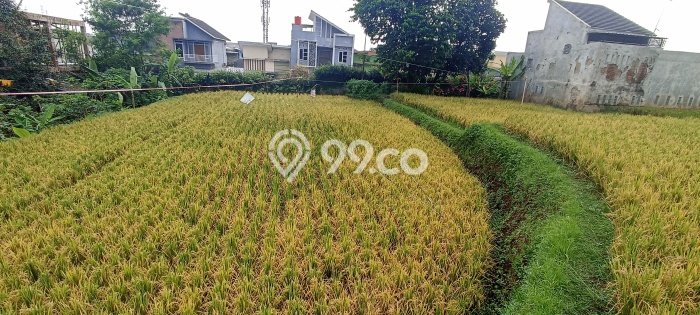 Tanah Area Prospektif Kawasan , Luas 12316m2m², Dekat ke Pusat Kota Tanah Area Prospektif Kawasan , Luas 12316m2m², Dekat ke Pusat Kota