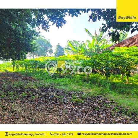 HARGA MENARIK! Tanah Kawasan Natar, Luas 6393m2m², Lokasi Berkembang, Bebas Banjir HARGA MENARIK! Tanah Kawasan Natar, Luas 6393m2m², Lokasi Berkembang, Bebas Banjir