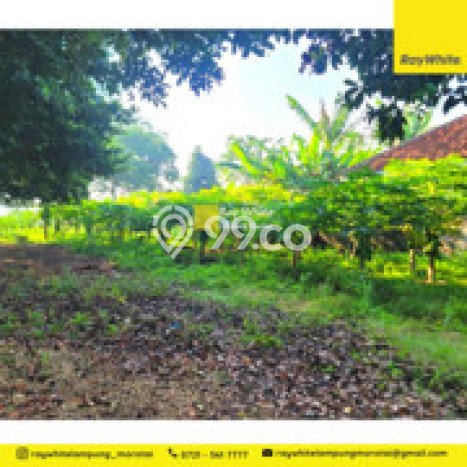 HARGA MENARIK! Tanah Kawasan Natar, Luas 6393m2m², Lokasi Berkembang, Bebas Banjir HARGA MENARIK! Tanah Kawasan Natar, Luas 6393m2m², Lokasi Berkembang, Bebas Banjir