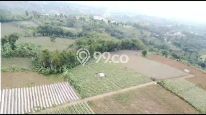 Tanah Dijual Lokasi Caringin, Bogor Luas 80000m2 Legalitas Aman Tanah Dijual Lokasi Caringin, Bogor Luas 80000m2 Legalitas Aman