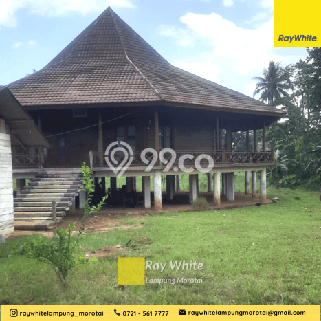 Tanah Lokasi Potensial di Natar, Luas 83090m2m², Dekat ke Pusat Kota, Akses Natar, Lampung Selatan, Lampung Selatan Tanah Lokasi Potensial di Natar, Luas 83090m2m², Dekat ke Pusat Kota, Akses Natar, Lampung Selatan, Lampung Selatan