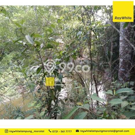 LOKASI STRATEGIS! Tanah Kawasan Jati Agung, Luas 4487m2m², Area Nyaman, Cocok untuk Hunian LOKASI STRATEGIS! Tanah Kawasan Jati Agung, Luas 4487m2m², Area Nyaman, Cocok untuk Hunian