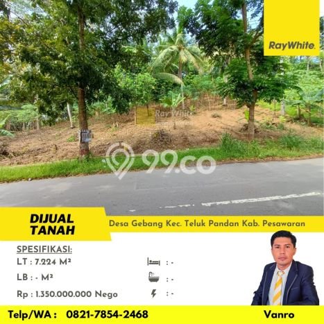 Tanah Dijual Lokasi Punduh Pidada, Pesawaran dengan Luas Tanah 7224m2 dan Status SHM Tanah Dijual Lokasi Punduh Pidada, Pesawaran dengan Luas Tanah 7224m2 dan Status SHM