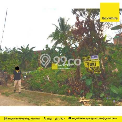 HARGA MENARIK! Tanah Kawasan Labuhan Ratu, Luas 4500m2m², Area Asri HARGA MENARIK! Tanah Kawasan Labuhan Ratu, Luas 4500m2m², Area Asri