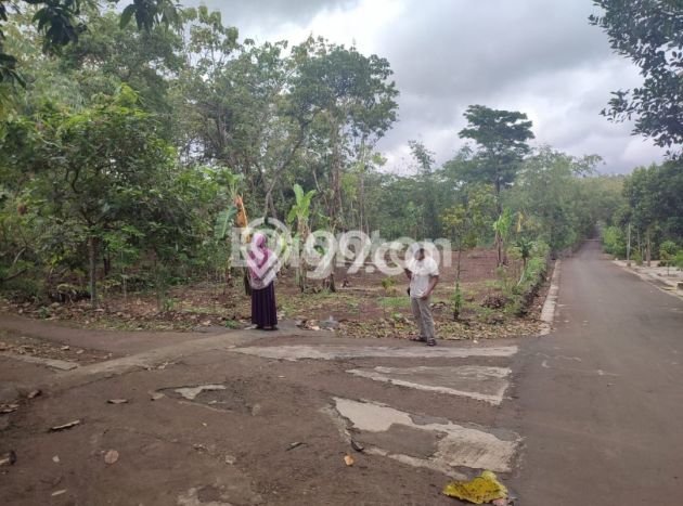 Untuk Dijual Tanah di Karangmojo Gunung Kidul Luas 976m2 SHM Untuk Dijual Tanah di Karangmojo Gunung Kidul Luas 976m2 SHM