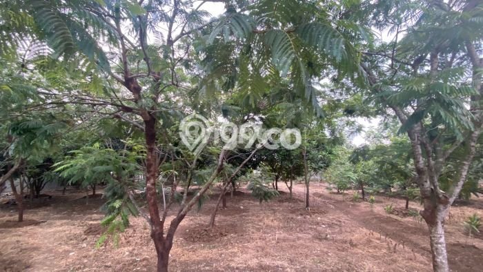 Jarang Ada! Tanah di Cikupa Punya Luas 2570m2 PPJB Jarang Ada! Tanah di Cikupa Punya Luas 2570m2 PPJB