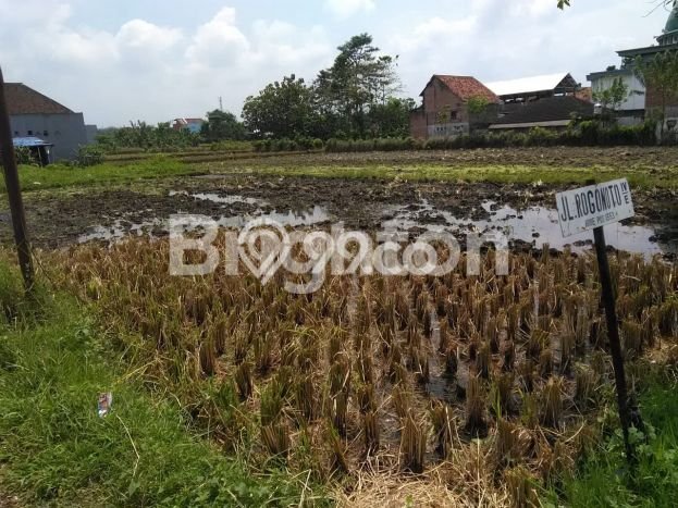 Tanah di Singosari, Malang Luas 389m2 Dijual Segera Tanah di Singosari, Malang Luas 389m2 Dijual Segera