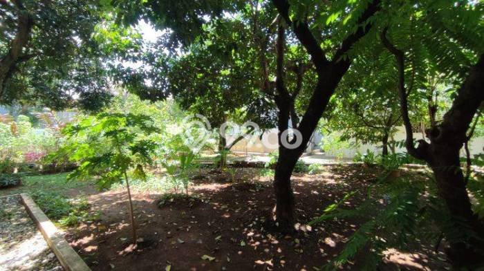 Tanah Area Strategis Kawasan Duren Sawit, Luas 1m², Ideal untuk Bisnis Tanah Area Strategis Kawasan Duren Sawit, Luas 1m², Ideal untuk Bisnis