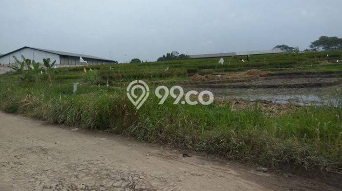 Tanah Kawasan Bisnis di Ngamprah, Luas 4527m², Cocok untuk Pengembangan Tanah Kawasan Bisnis di Ngamprah, Luas 4527m², Cocok untuk Pengembangan