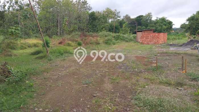 Tanah Kosong Dijual di Kulon Progo dengan Area 233m2 Tanah Kosong Dijual di Kulon Progo dengan Area 233m2