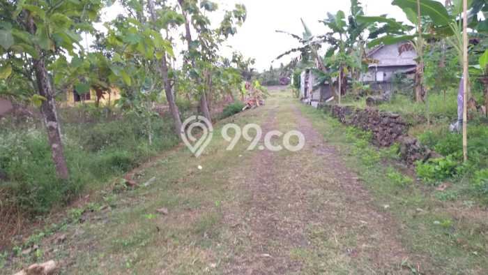 Tanah Kosong Dijual di Kulon Progo dengan Area 233m2 Tanah Kosong Dijual di Kulon Progo dengan Area 233m2