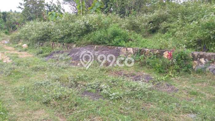 Tanah Kosong Dijual di Kulon Progo dengan Area 233m2 Tanah Kosong Dijual di Kulon Progo dengan Area 233m2