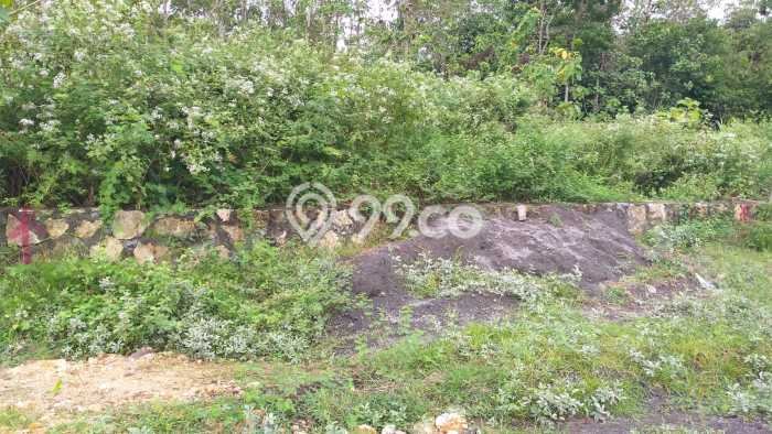 Tanah Kosong Dijual di Kulon Progo dengan Area 233m2 Tanah Kosong Dijual di Kulon Progo dengan Area 233m2