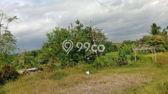 Tanah di Polanharjo, Klaten Luas 1905m2 Dijual Segera Tanah di Polanharjo, Klaten Luas 1905m2 Dijual Segera