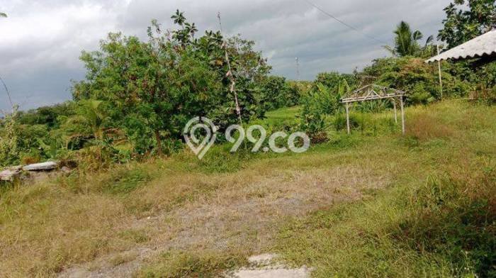 Tanah di Polanharjo, Klaten Luas 1905m2 Dijual Segera Tanah di Polanharjo, Klaten Luas 1905m2 Dijual Segera
