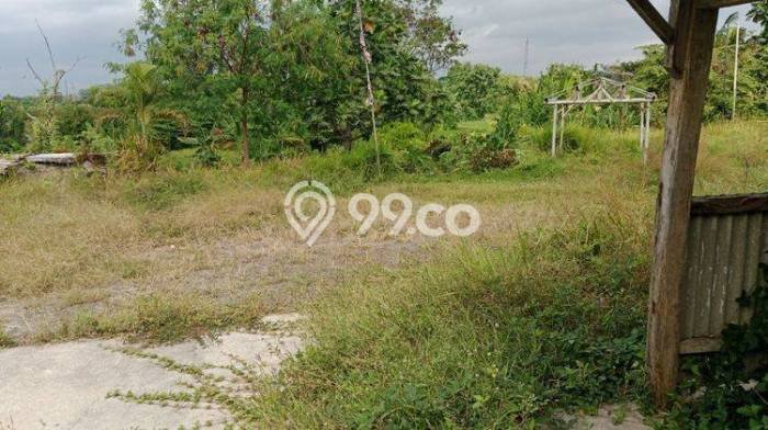 Tanah di Polanharjo, Klaten Luas 1905m2 Dijual Segera Tanah di Polanharjo, Klaten Luas 1905m2 Dijual Segera