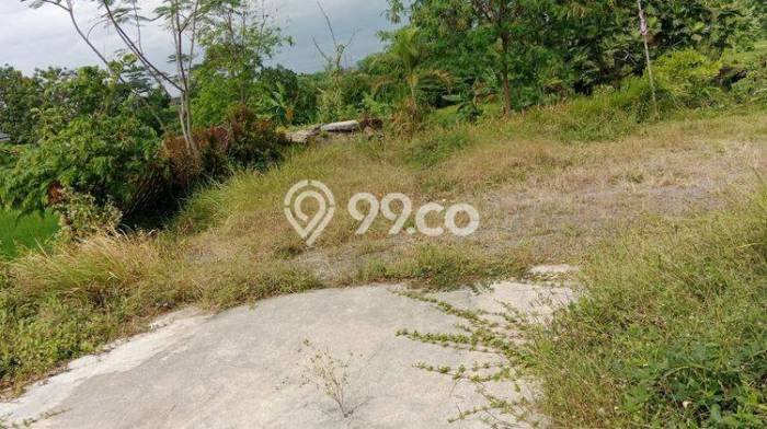Tanah di Polanharjo, Klaten Luas 1905m2 Dijual Segera Tanah di Polanharjo, Klaten Luas 1905m2 Dijual Segera