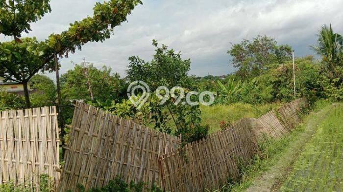 Tanah di Polanharjo, Klaten Luas 1905m2 Dijual Segera Tanah di Polanharjo, Klaten Luas 1905m2 Dijual Segera