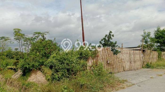 Tanah di Polanharjo, Klaten Luas 1905m2 Dijual Segera Tanah di Polanharjo, Klaten Luas 1905m2 Dijual Segera