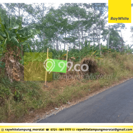 Tanah di Tanjung Karang Barat, Luas 487m2m², Area Potensial, Kawasan Asri Tanah di Tanjung Karang Barat, Luas 487m2m², Area Potensial, Kawasan Asri