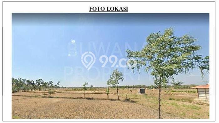Jarang Ada! Tanah di Pulokulon Punya Luas 240000m2 SHM Jarang Ada! Tanah di Pulokulon Punya Luas 240000m2 SHM