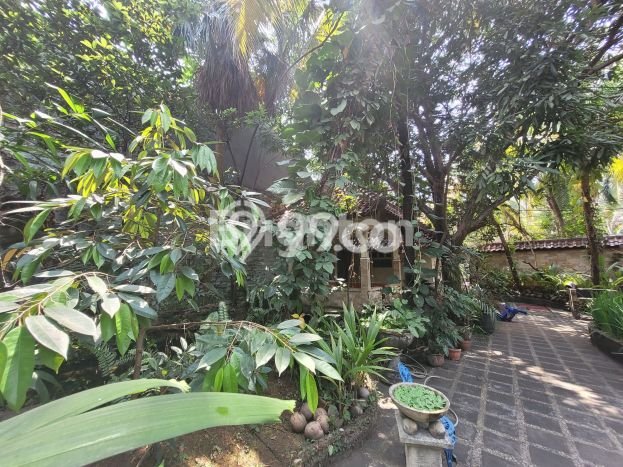 Tanah Siap Bangun Dijual di Depok Punya Luas 120m2 Tanah Siap Bangun Dijual di Depok Punya Luas 120m2