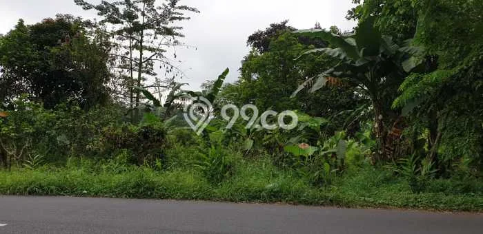 Tanah untuk Dijual Lokasi Tanjung Karang Barat, Bandar Lampung Luas 25283m2 SHM Tanah untuk Dijual Lokasi Tanjung Karang Barat, Bandar Lampung Luas 25283m2 SHM