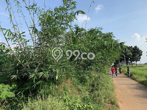 Lahan Kosong Dijual di Kotabaru, Karawang, Luas 6000m2 Area Strategis Lahan Kosong Dijual di Kotabaru, Karawang, Luas 6000m2 Area Strategis