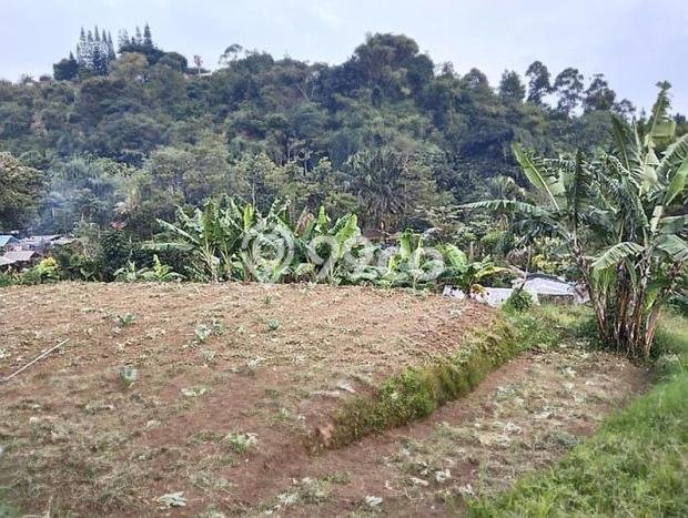 Kavling Tanah untuk Dijual di Setiabudi, Bandung, Luas 15000m2 Kavling Tanah untuk Dijual di Setiabudi, Bandung, Luas 15000m2