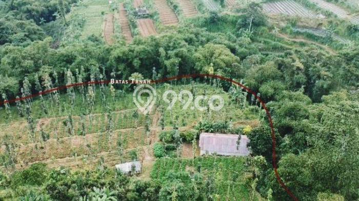Dijual Tanah Lokasi Bedugul, Tabanan Seluas 22000m2 Dijual Tanah Lokasi Bedugul, Tabanan Seluas 22000m2