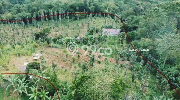 Dijual Tanah Lokasi Bedugul, Tabanan Seluas 22000m2 Dijual Tanah Lokasi Bedugul, Tabanan Seluas 22000m2