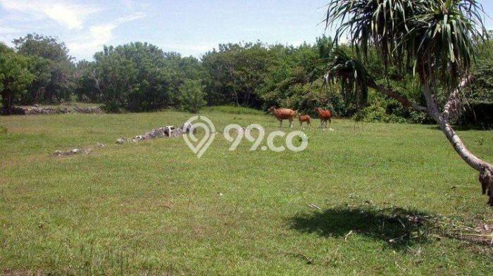 Dijual Tanah di Badung, Luas 27985m2 - Dijual Tanah di Badung, Luas 27985m2 -