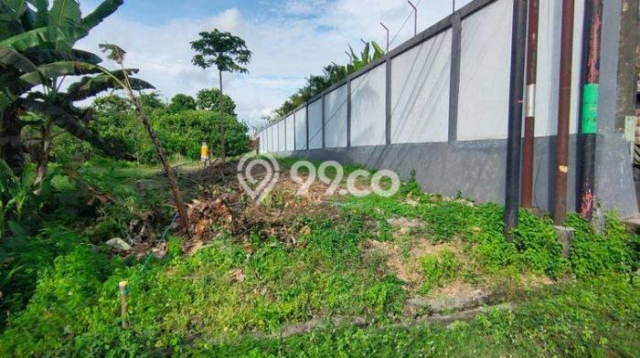 Kavling Tanah untuk Dijual di Nyitdah, Tabanan, Luas 3000m2 Kavling Tanah untuk Dijual di Nyitdah, Tabanan, Luas 3000m2