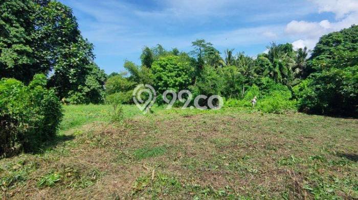 Kavling Tanah untuk Dijual di Nyitdah, Tabanan, Luas 3000m2 Kavling Tanah untuk Dijual di Nyitdah, Tabanan, Luas 3000m2