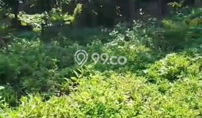 Dijual Tanah 1060m2 di Kedewatan, Gianyar Dijual Tanah 1060m2 di Kedewatan, Gianyar
