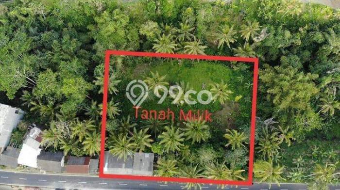 Kavling Tanah untuk Dijual di Sebatu, Gianyar, Luas 3150m2 Kavling Tanah untuk Dijual di Sebatu, Gianyar, Luas 3150m2
