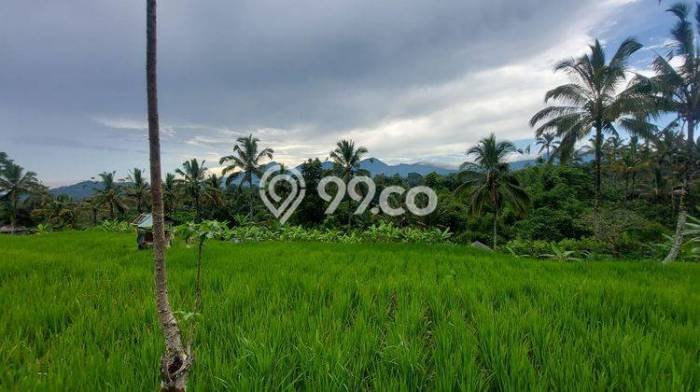 Dijual Tanah di Payangan Gianyar Luas 1950m2 SHM Dijual Tanah di Payangan Gianyar Luas 1950m2 SHM