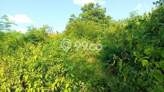 Kavling Tanah untuk Dijual di Pecatu, Badung, Luas 1230m2 Kavling Tanah untuk Dijual di Pecatu, Badung, Luas 1230m2