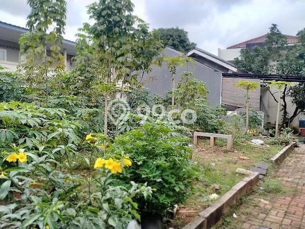 Untuk Dijual Tanah di Jakarta Selatan, Luas 142m2 SHM Untuk Dijual Tanah di Jakarta Selatan, Luas 142m2 SHM
