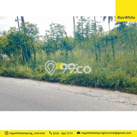 Tanah di , Luas 808m2m², Akses Strategis, Area Berkembang Tanah di , Luas 808m2m², Akses Strategis, Area Berkembang