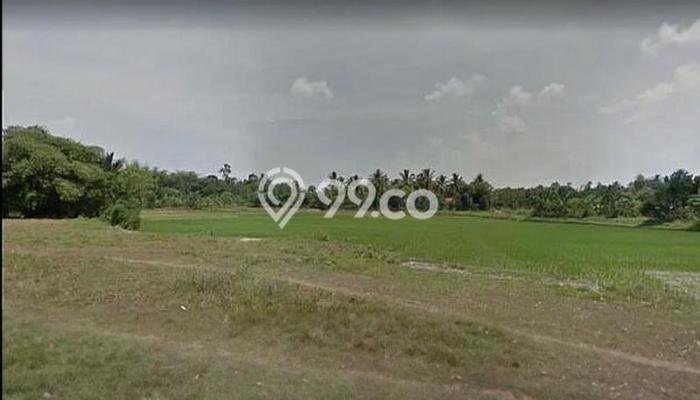Lahan Kosong Dijual di Tangerang dengan Area 50000m2 Lahan Kosong Dijual di Tangerang dengan Area 50000m2