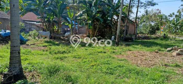 LOKASI STRATEGIS! Tanah Kawasan Jati Agung, Luas 1254m2m², Area Asri, Cocok untuk Hunian LOKASI STRATEGIS! Tanah Kawasan Jati Agung, Luas 1254m2m², Area Asri, Cocok untuk Hunian